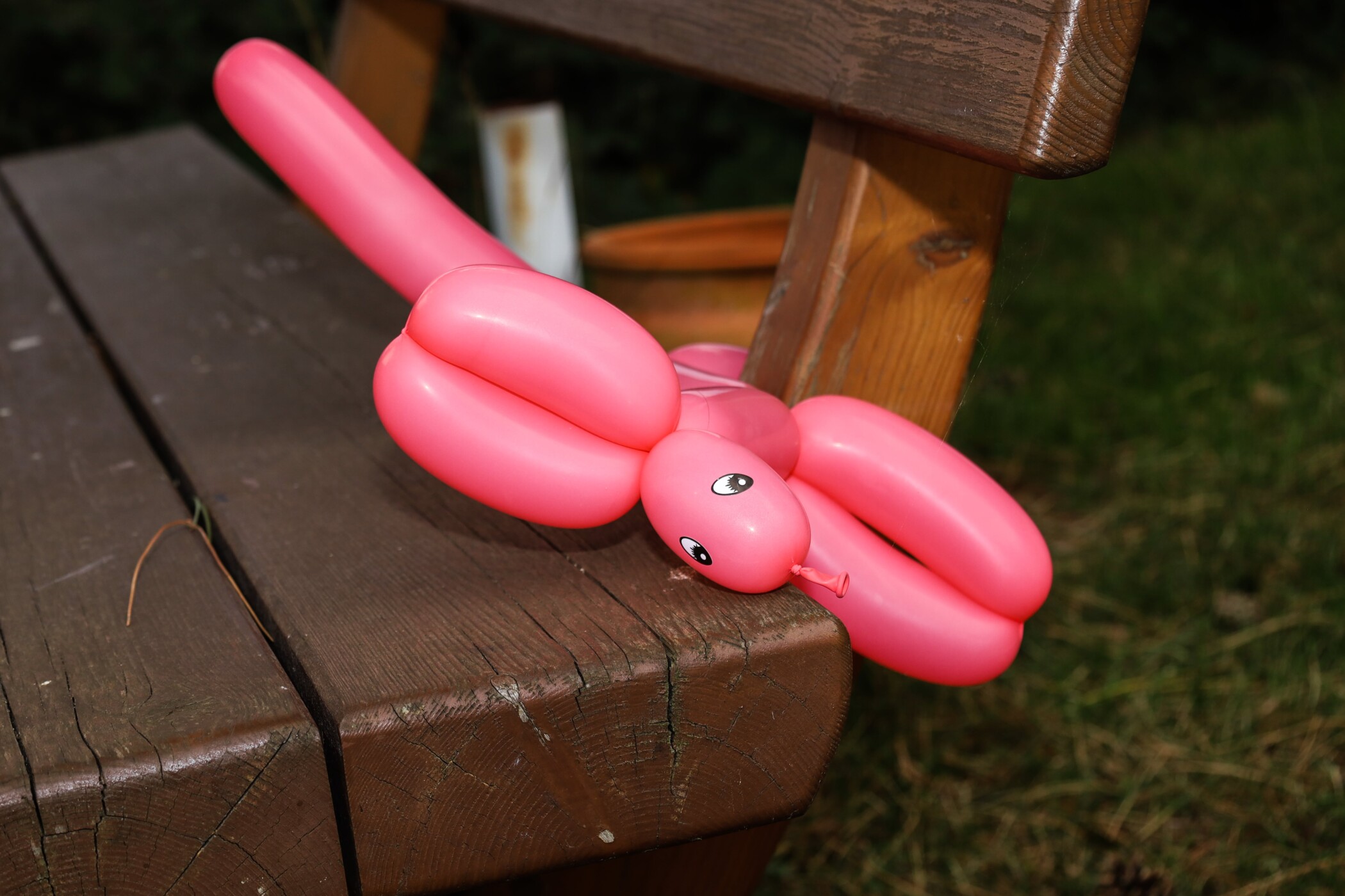 Ballonhunde bei der Pflegeagentur24